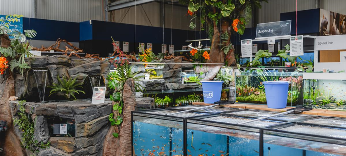 Was euch erwartet: Bild