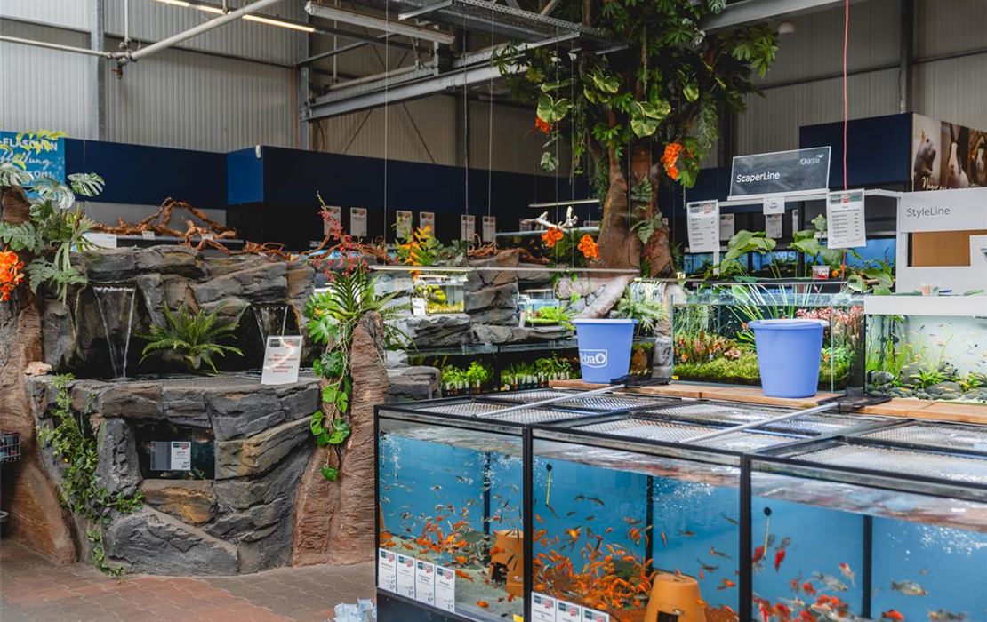 Was euch erwartet: Bild