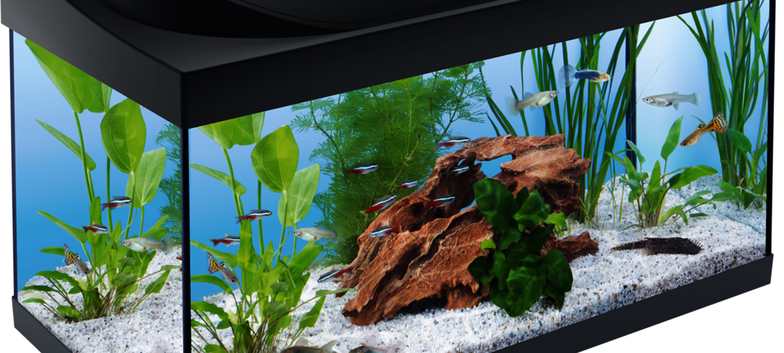 Was euch erwartet: Bild