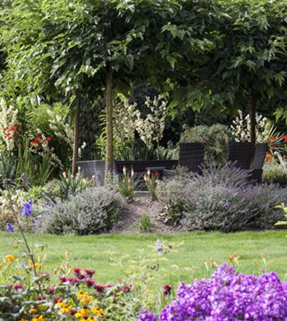 Pflanzen im Garten düngen