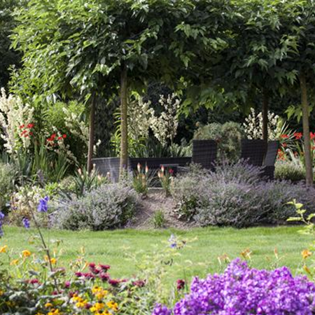 Pflanzen im Garten düngen