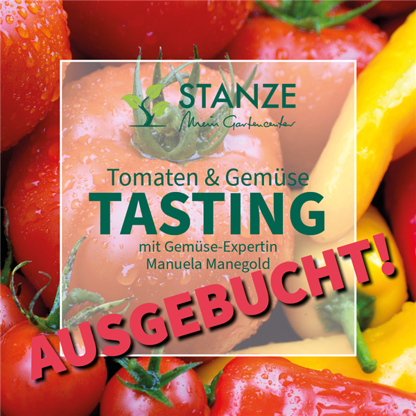 09.05.2025 09.05.2025