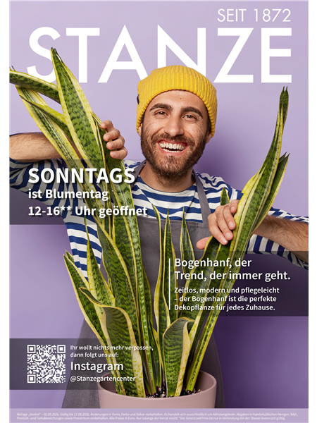 Herbst Beilage