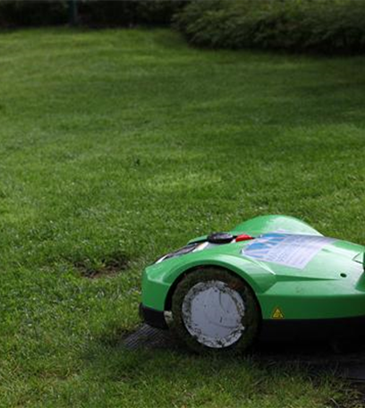 Auf dem Weg zu einem schönen Rasen