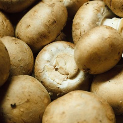 Wiesen-Champignon Wiesen-Champignon