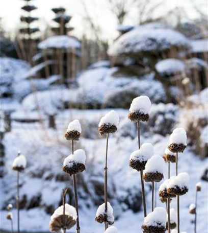 Weihnachtliche Stimmung im Garten
