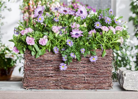 Frühling, Sommer, Herbst, Winter: der Balkon ist immer ein schöner Anblick Frühling, Sommer, Herbst, Winter: der Balkon ist immer ein schöner Anblick