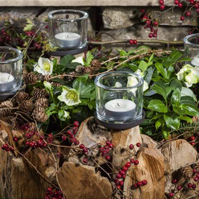 Adventskranz gestalten