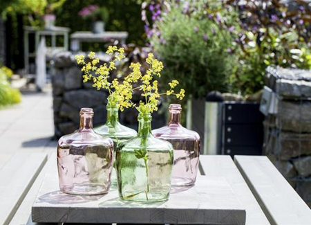 Der Flaschengarten - ein Regenwald für Zuhause Der Flaschengarten - ein Regenwald für Zuhause