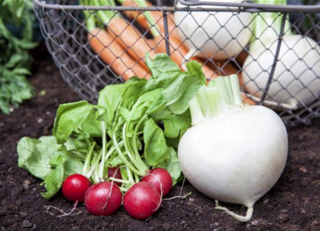 Erntegut haltbar machen Erntegut haltbar machen