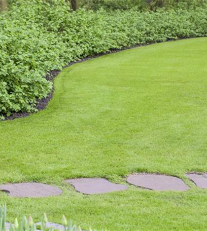 Sie sind bewegend! Wege, die durch den Garten führen.