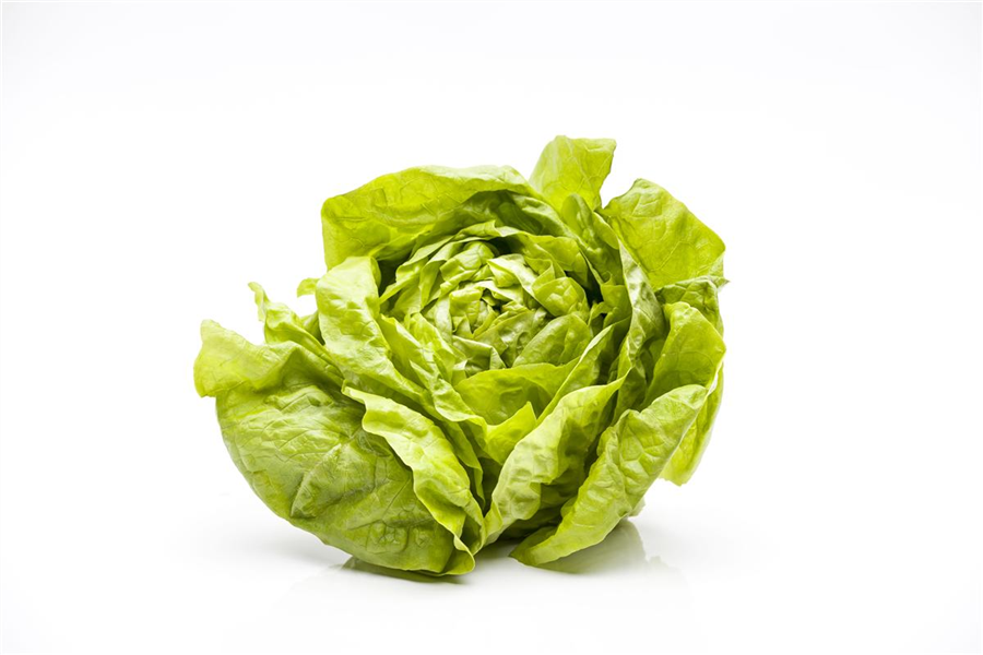 Kopfsalat Kopfsalat