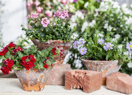 Der ganz große Stil im Garten - eine Anleitung für Menschen mit Liebe zu Effekten Der ganz große Stil im Garten - eine Anleitung für Menschen mit Liebe zu Effekten