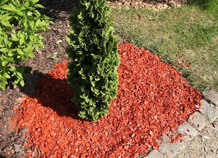 Mulch - Einsatz im Garten Mulch - Einsatz im Garten