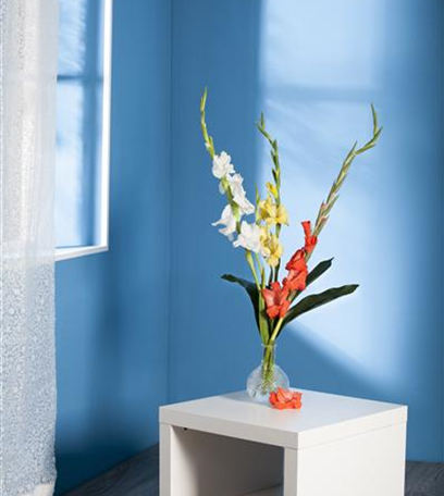 Ein Fest der Farben: Top 5 der Sommerblumen