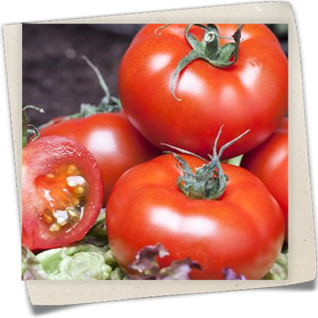 Salattomate Salattomate