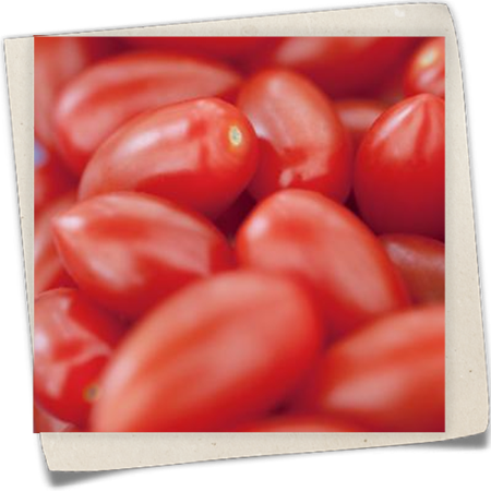 Tomate 'San Marzano' Tomate 'San Marzano'