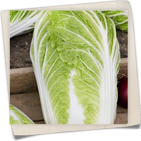 China-Kohl China-Kohl