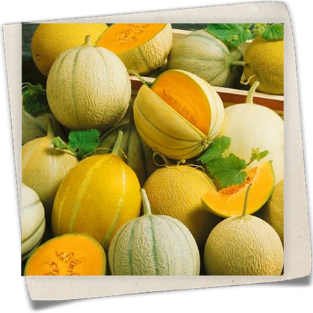 Cantaloupe-Melone Cantaloupe-Melone