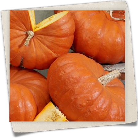 Speise-Kürbis 'Roter Zentner' Speise-Kürbis 'Roter Zentner'