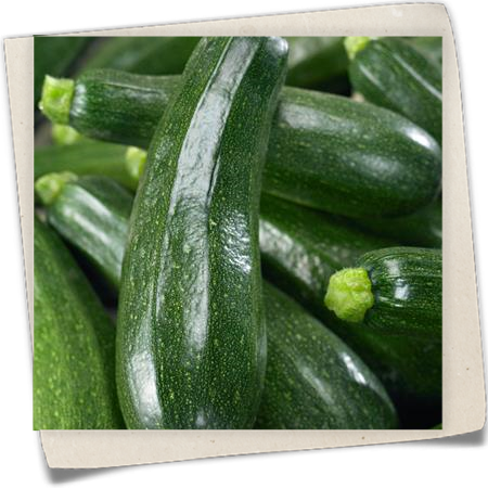 Zucchini 'Patio Star green' Zucchini 'Patio Star green'