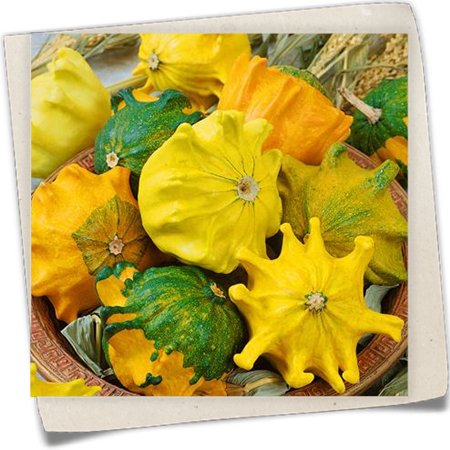 Krallenkürbis Krallenkürbis