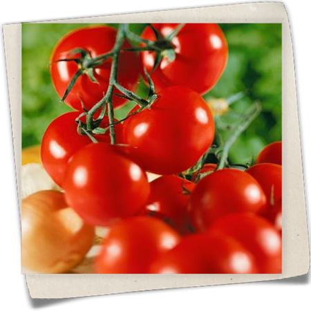 Tomate 'Sportivo' Tomate 'Sportivo'