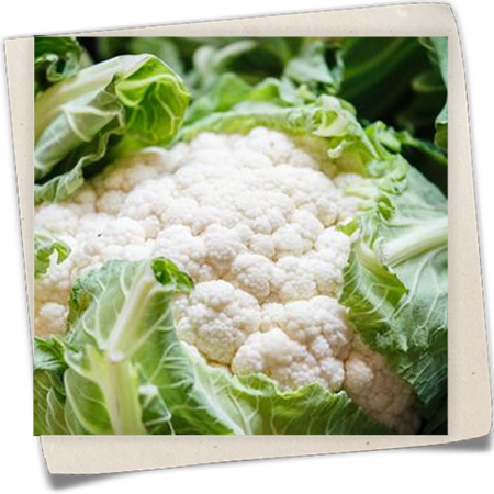 Blumenkohl Blumenkohl