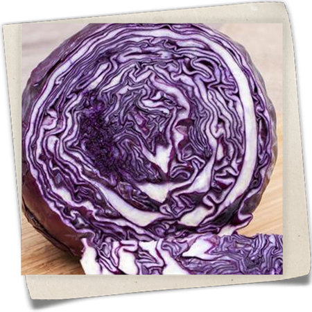 Rotkohl Rotkohl