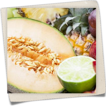 Zuckermelone Zuckermelone