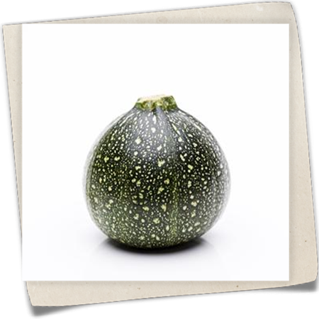 Zucchini 'Eight Ball' Zucchini 'Eight Ball'