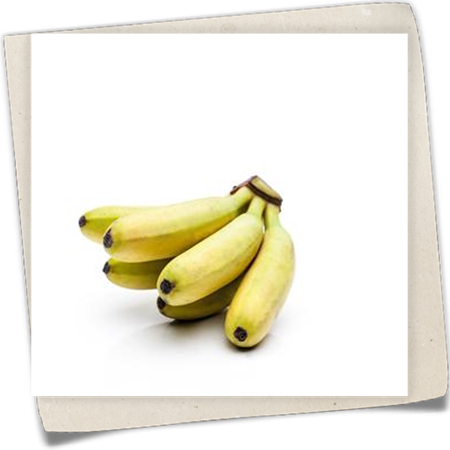 Zwerg-Essbanane Zwerg-Essbanane